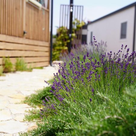 Hollers Holiday Homes Haus Mary ドラゲ エクステリア 写真