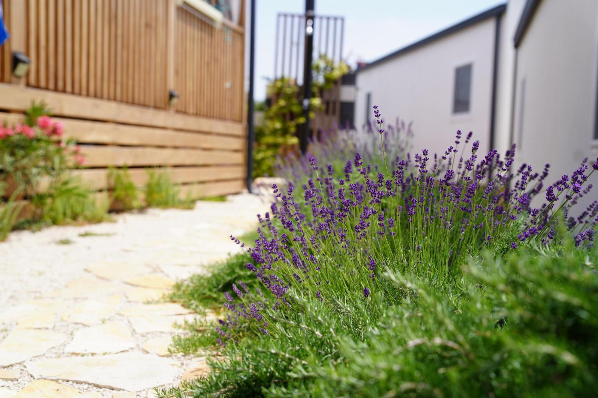 Hollers Holiday Homes Haus Mary ドラゲ エクステリア 写真